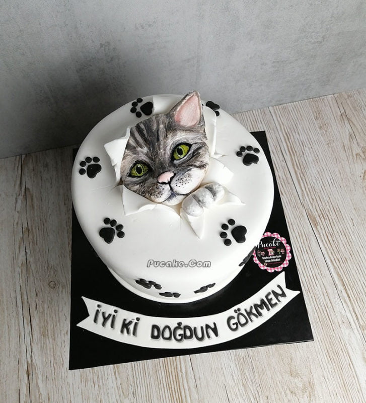 Sevimli Kedi Butik (Özel Tasarım) Pasta